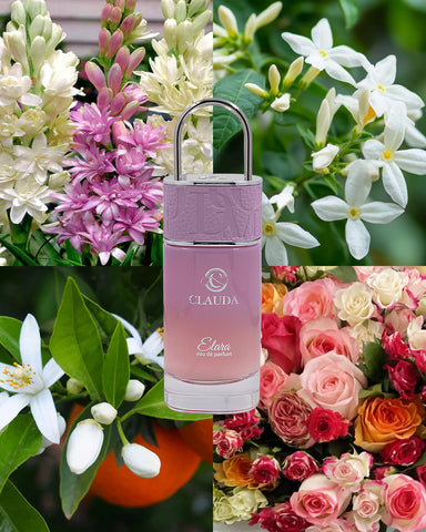 Clauda Elara